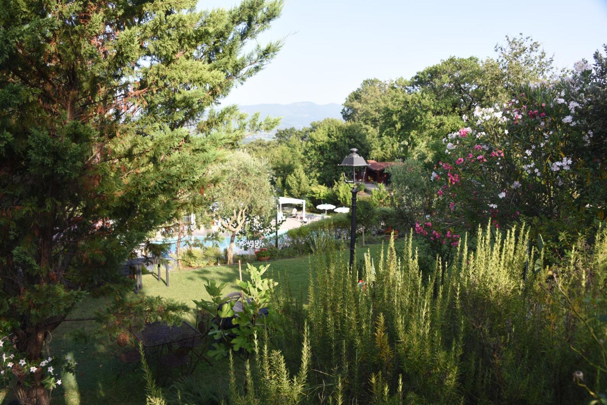 Sant'Andrea del Garigliano Bosco D'Olmi Country House المظهر الخارجي الصورة