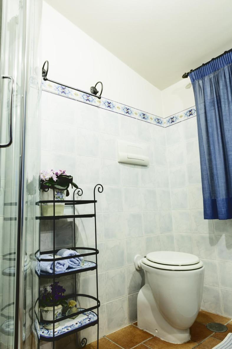 Sant'Andrea del Garigliano Bosco D'Olmi Country House المظهر الخارجي الصورة